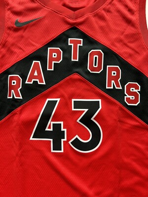 paskal siakam raptors jersey nike XL  nike NBA jersey