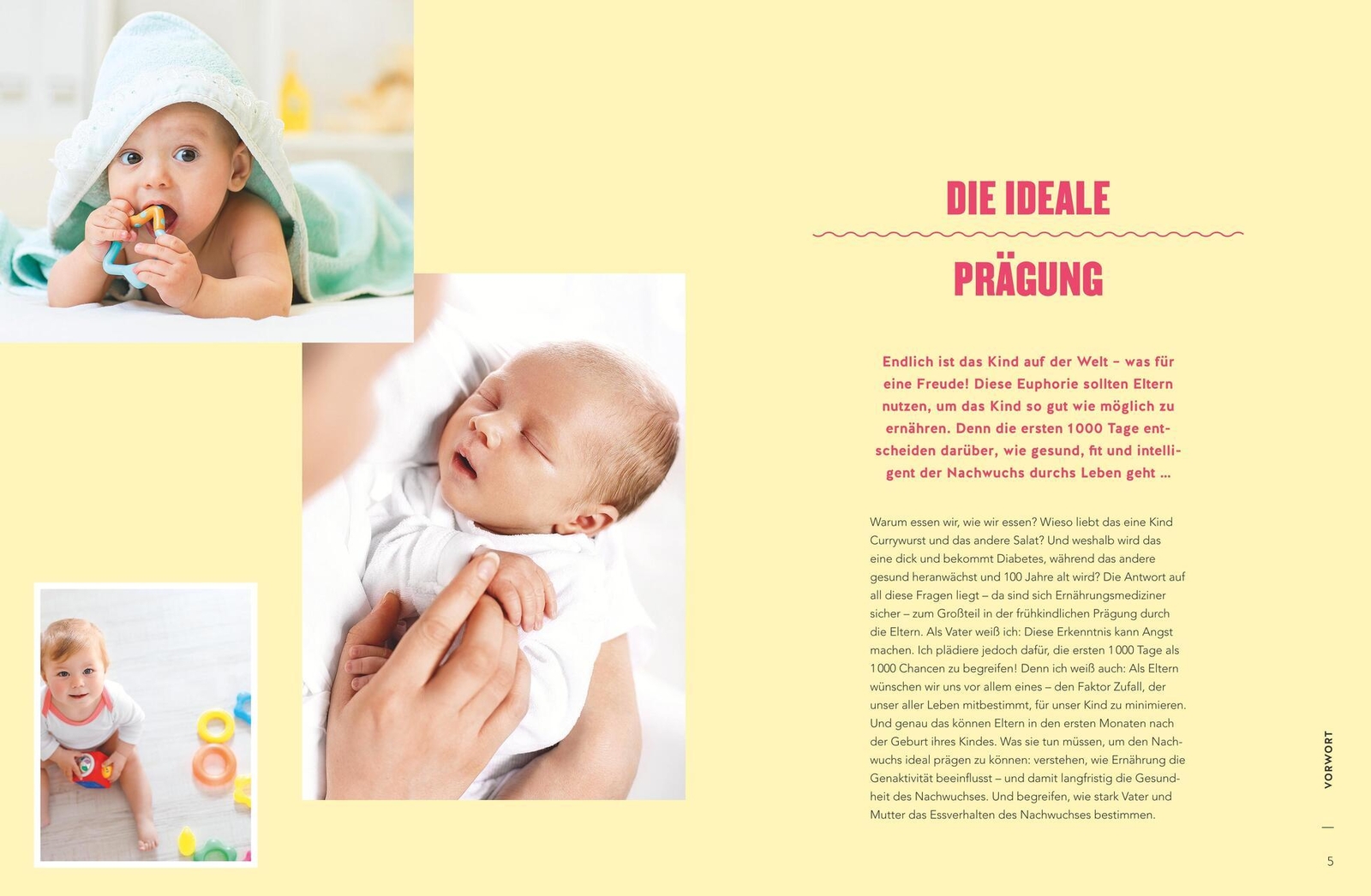 Thumbnail - Das Kochbuch Der Ersten 1000 Tage Matthias Riedl