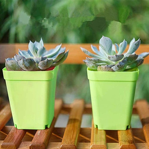 3 Inch Nursery Flower Pots 24 PACK Multi Square Plastic Plant Pots with Saucers - Picture 19 of 47