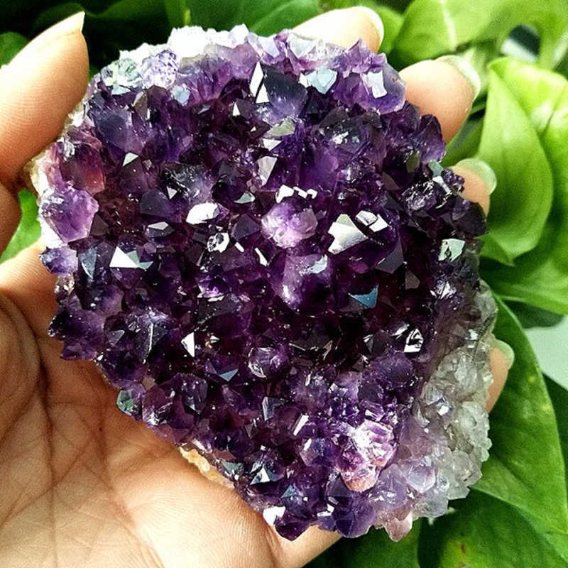 Photo 5/22