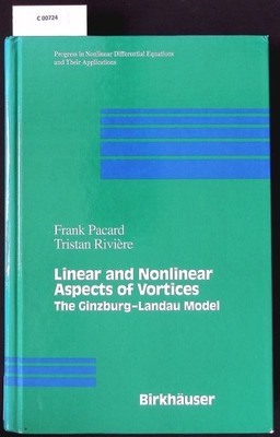 Linear and nonlinear aspects of vortices. The Ginzburg-Landau model.