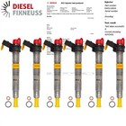 6x Injektor Einspritzdüse BMW 525d 530d X5 X6 3,0d 7805428 7805429 0445116024