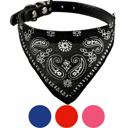 Collares para perros