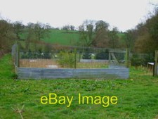 Photo 6x4 Pheasant Rearing Pens Cubley Common Pens used to rear pheasants c2007