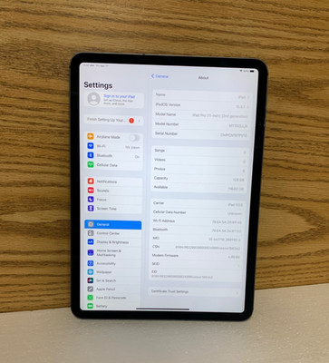 iPad Pro 11 Inch -  2nd generation - 128GB - Gray - WiFi+Cellular - MINT!!