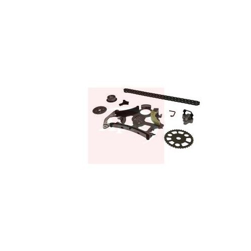 For BMW 3 Series Touring F31 2012 to 2019 TIMING CHAIN KIT WITH GEAR ACK4152