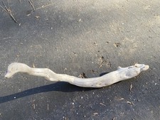 All-Natural manzanita driftwood , 27” branch for Reptiles, Birds, or Fishtank 