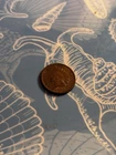 1907 Indian Head Small Cent BN Circulated Business Strike, Philadelphia Mint