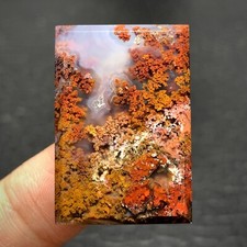 Scenic Moss Agate Cabochon 31x21x6mm High Quality 45.5 ct