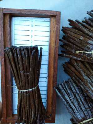 Vanilleschoten - Bourbon - de Madagascar