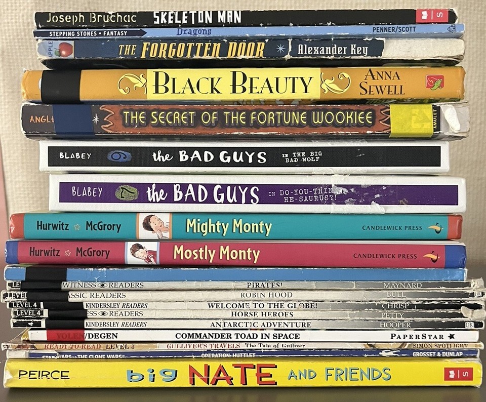 100 Children’s Chapter Books Lot Instant Library Homeschool Class Library Lot eBay