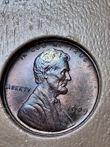 1909-P LINCOLN CENT. MS/ BU/ BN . CHOICE. HIGH RATED.