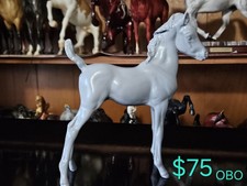 Extreme Custom Proud Arabian Foal