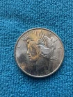 1923-P Peace Dollar 90% Silver - Brilliant Uncirculated.  Nice Original luster!