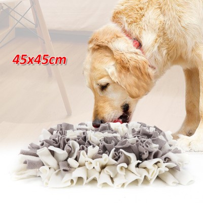 dog sniffing mat