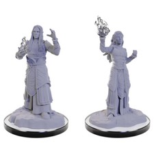 Dungeons  Dragon D D Nolzur's Miniatures Male/Female Elf Wizards WZK90672