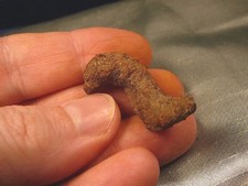 (pp470-11) Genuine Fossil TURTLE POOP Coprolite OR DUNG doo #2 skat WEIRD GIFT