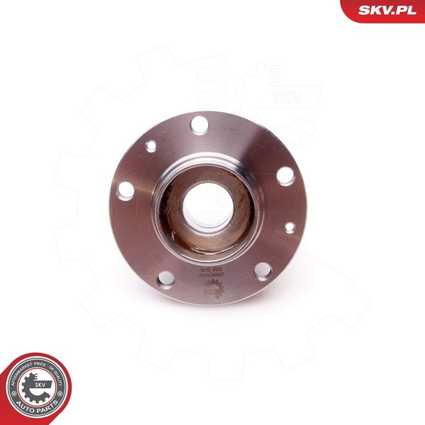 Esen SKV Radlagersatz 29SKV070 FüR CitroËN Peugeot-image