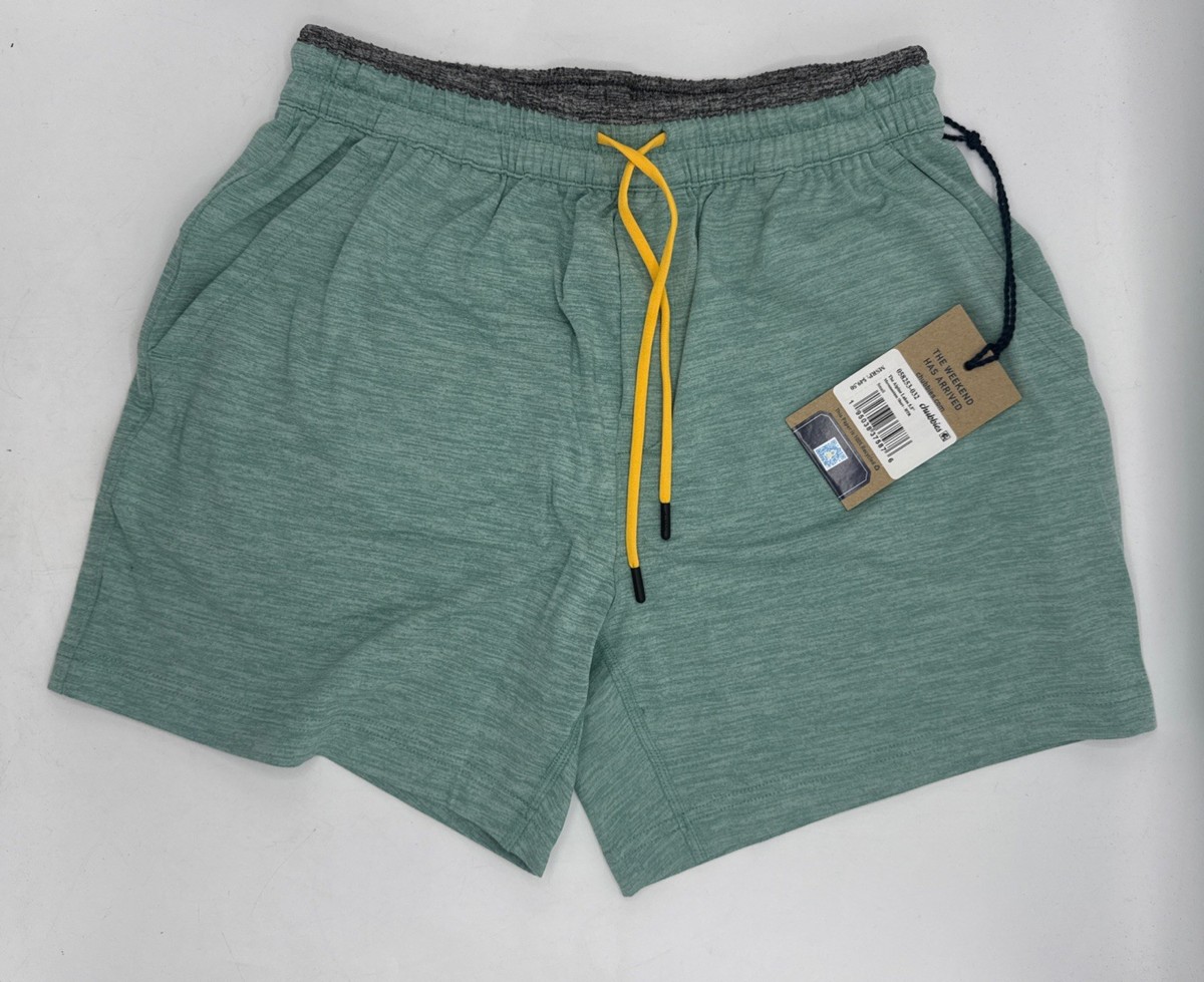 Chubbies Alpine Lakes 5.5 Inseam Shorts Small Heather Green