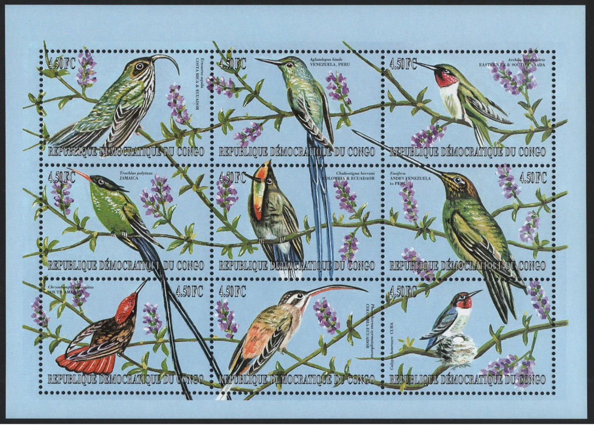 Hoja de colibrí de América, 2000 - República Democrática del Congo-MONTADA [RDC04]