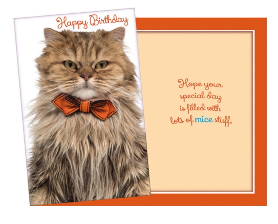 Birthday Funny Cat with Bow tie Special Day 5'x7.75" Stockwell Greeting Card