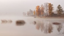 Landscape nature trees water lake mist morning fall Custom Gaming Mat Desk