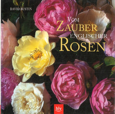 Vom Zauber englischer Rosen von David Austin (2000, Gebundenes Buch)