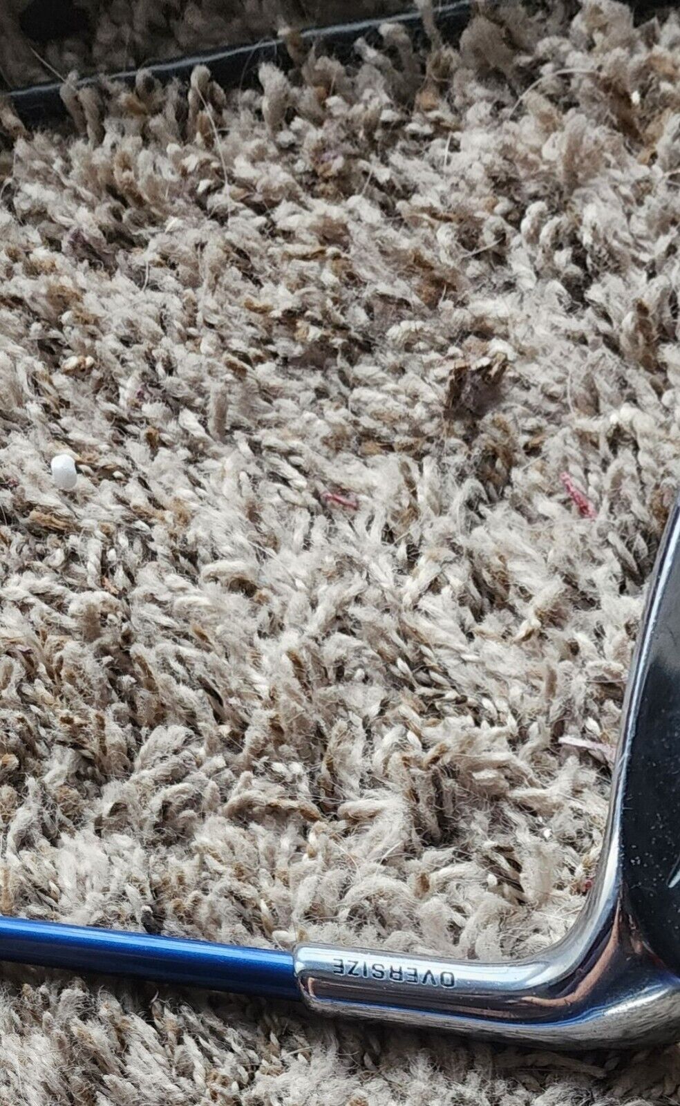 Picture 8 of 13
