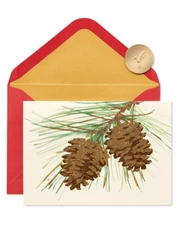 Papyrus Boxed Christmas Cards - Glittered Pinecones 14 Count