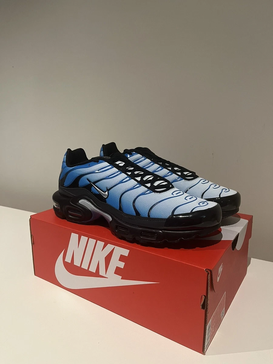 US 10 14 Nike Air Max Plus TN Blue Gradient FQ0204 010 eBay