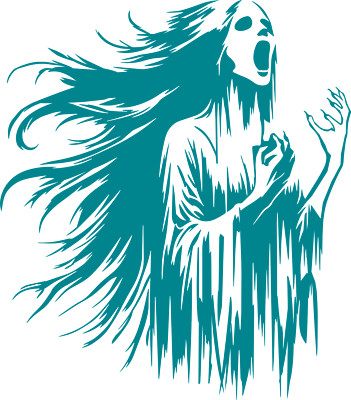 Banshee Image   Quality Vinyl Decal Sticker 43 different colors available