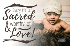 Every Life is Sacred Pro-Life Vinyl Sign