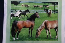HORSE FRIENDS AFGHAN THROW BLANKET NEW