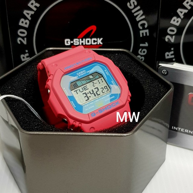 dw 9300 raysman