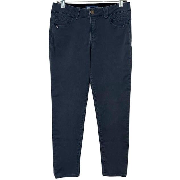 Democracy Ab Technology "Ab"solution Blue Gray Sk… - image 1