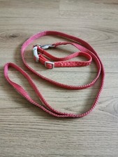 Training Red Dog Lead Small