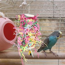  Nymphensittich Spielzeug Nymphensittich-Spielzeug Bird -Kauspielzeug