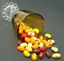 Gourmet AUTUMN MIX - Jelly Candy Jelly Beans - 3lb - BULK BEST PRICE