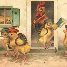 c.1908 Anthropomorphic Chicks School Easter Postcard Backpacks Hats Hen Teacher