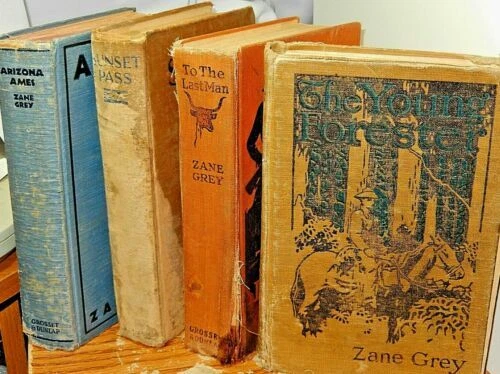 Libri antichi e da collezione copertine rigide grigi