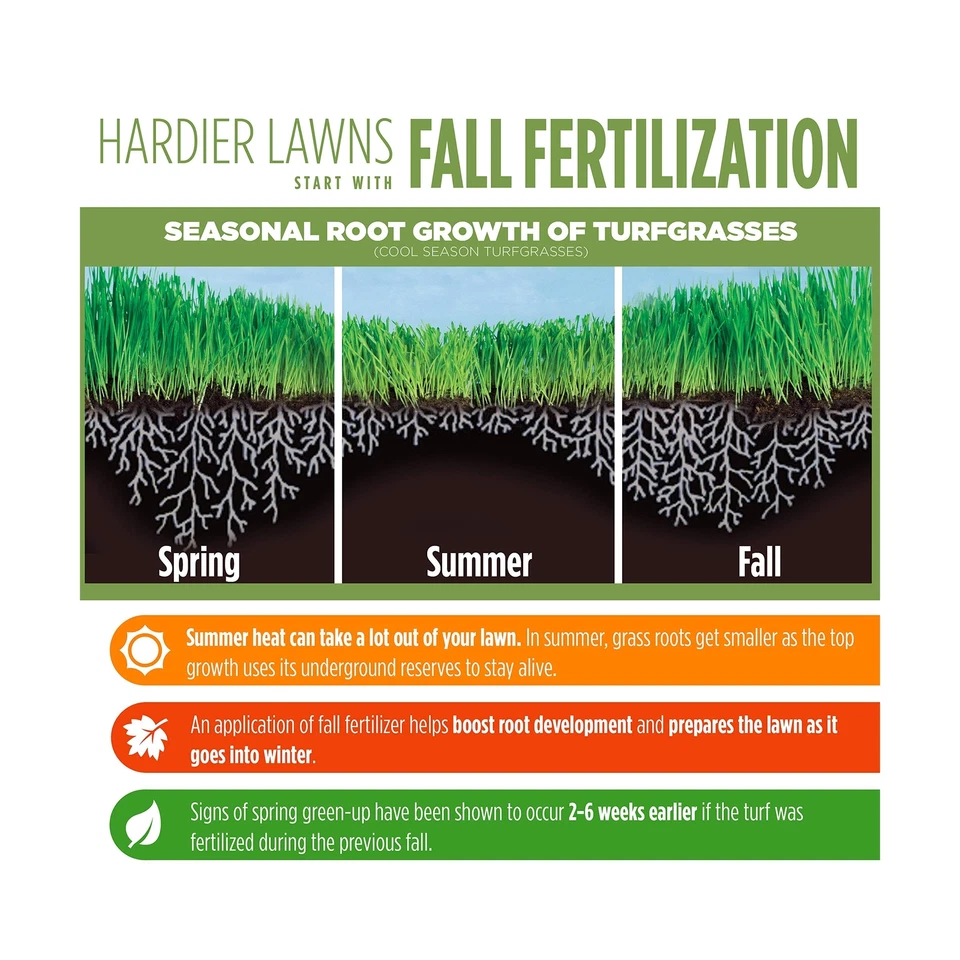 Fertilizante de otoño Greenview 2129858 Fairway Formula - 22,5 lb - Cubre 7.500 cuadrados... Foto 4 de 4