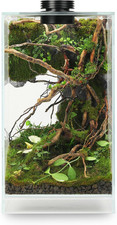 Desktop Glass Plant Terrarium with Grow Light L7.8 W7.8 H14 , for Succulent, Mos
