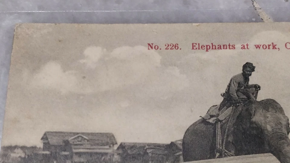 1914 Ceylon No.226 Elephants at Work, King Edward 6c Red Stamp Postcard to Auz - Image 4 of 4