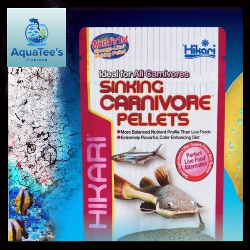 Hikari Sinking Carnivore Pellets Fish Food 74g Catfish Stingrays Plecos Arowana eBay