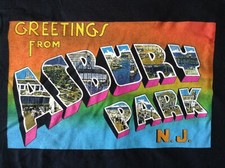 Bruce Springsteen 2009 Buffalo T-Shirt GREETINGS XL Never Worn! Rare!! Clarence!