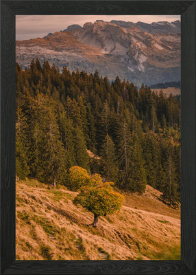 Berg Herbst Baum gerahmtes Wandbild Poster Leinwanddruck Bild