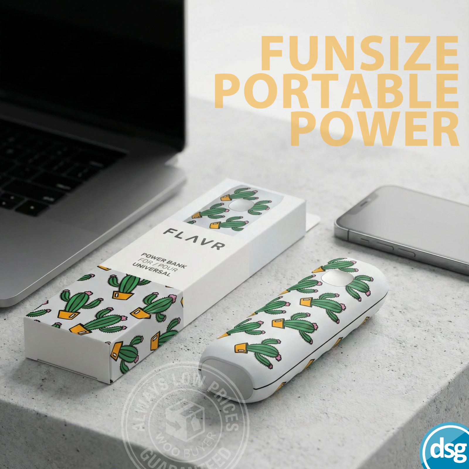 FLAVR Universal Power Bank Battery Pack 2600mAh - 5V 1A - Cactus Design
