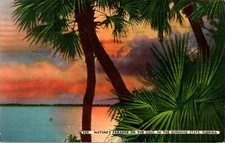 Nature's Paradise on the Gulf, The Sunshine State, Florida FL 1942 Postcard