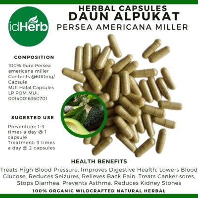 Capsules Persea Americana Miller Daun Alpukat Natural herbal Organic 100% Herbs