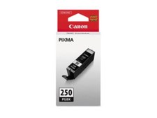 CANON PIXMA MG5420 1-PGI250 SD PGMENT BLACK
